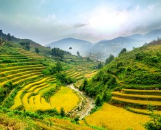 Rice Terrace Fields in Mu Cang Chai, Vietnam