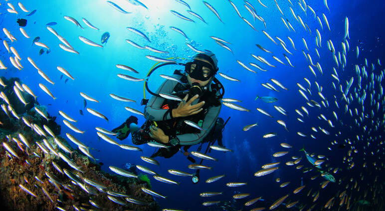 scuba diving 17