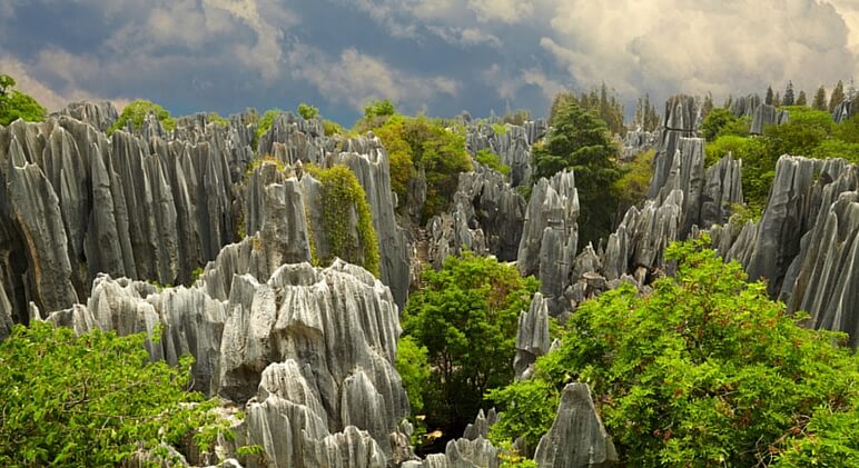 stone forest