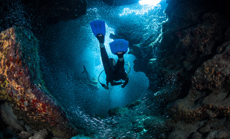 scuba diving 16